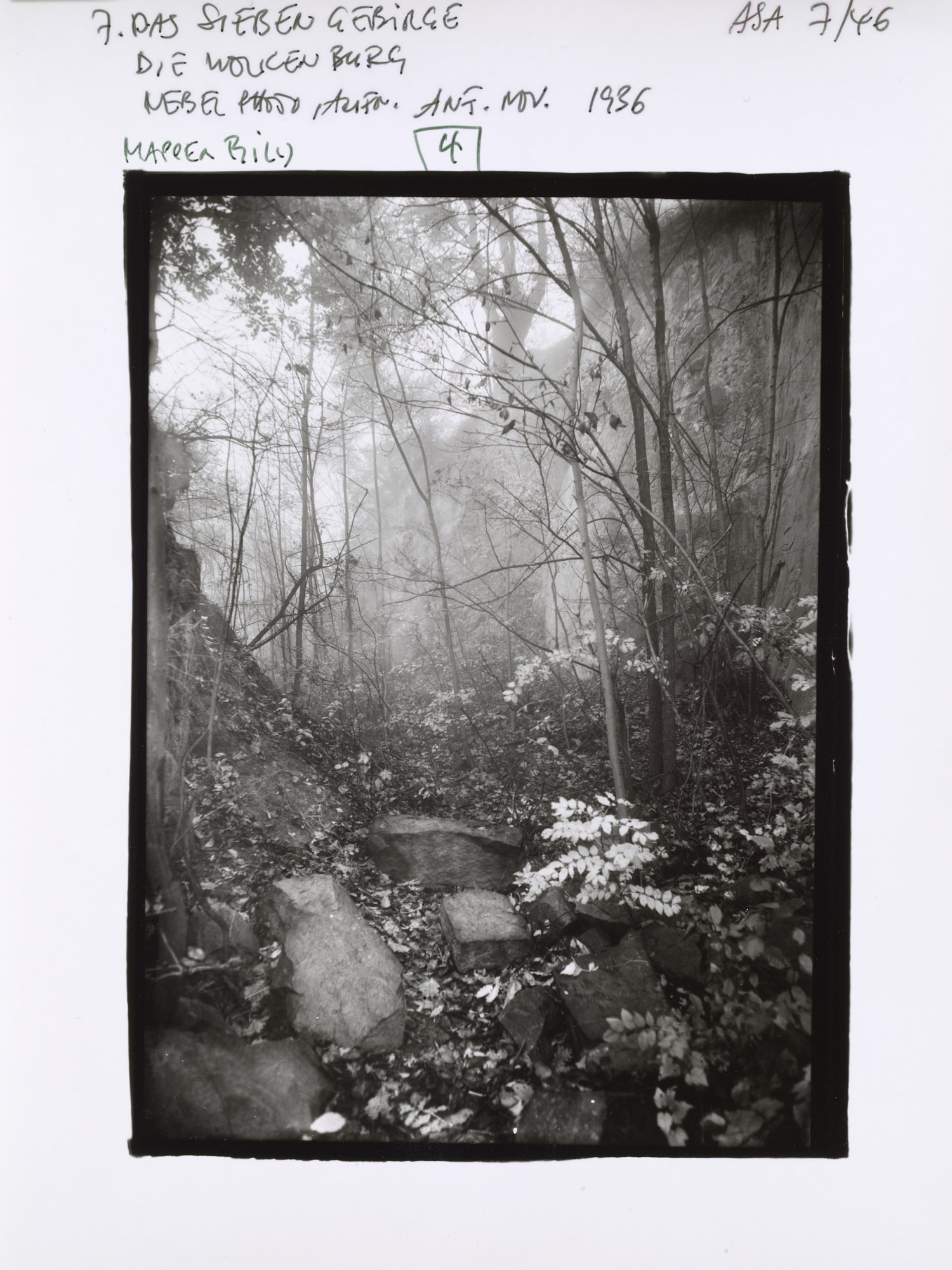 AS10k+ #5585 (ASA.7.46)